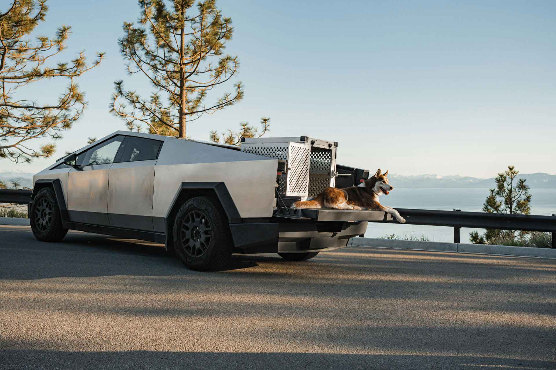 EV Car Shipping in 2025